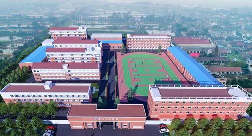 爆料益阳学校视频曝光,揭秘校园内幕